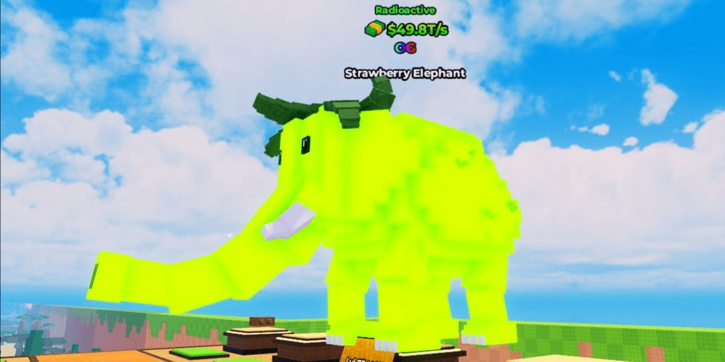 Product Showcase