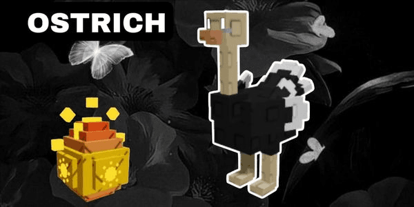 Gambar Product OSTRICH TRASH PARADISE