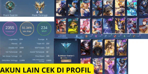 SENIOR COLLECTOR ACCOUNT 1 CHEAPEST SAFE
