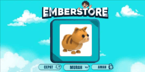 Ginger Cat