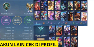 CHEAPEST ML ACCOUNT SENIOR 3 SAFE