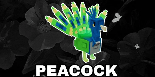 Gambar Product PEACOCK