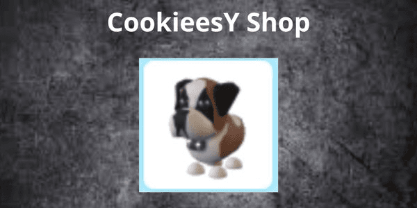Gambar Product Adopt Me Trading Hub St Bernard Normal - (Ultra Rare)