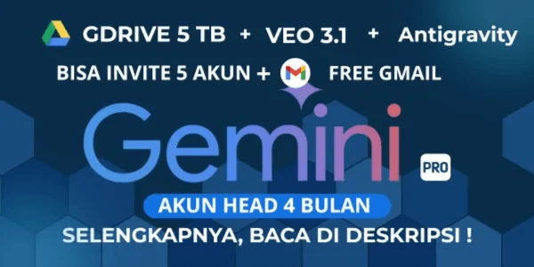 Gemini Pro + Google Drive Private 4-Month Warranty