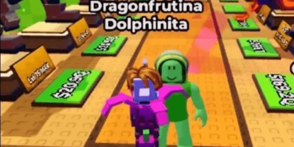 BACON DRAGONFRUTINA DOLPHIN