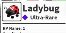 Gambar Product Ladybug