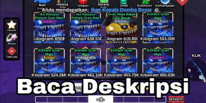 Elshark Gran Maja