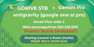 Gemini Pro + Google Drive Sharing 4-Month Warranty