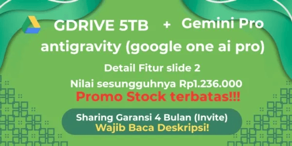 Gemini Pro + Google Drive Sharing 4-Month Warranty