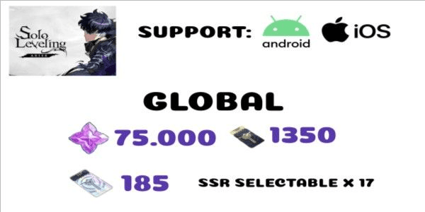 Gambar Product Akun Solo Leveling Arise Global-2