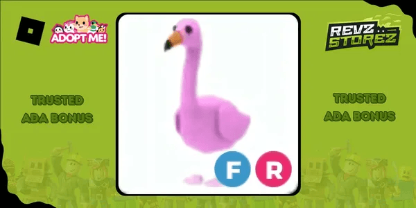 Flamingo