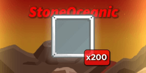 x200 Display Block