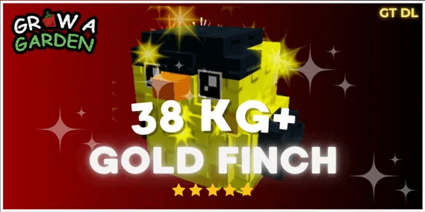 Gold Finch 38KG+