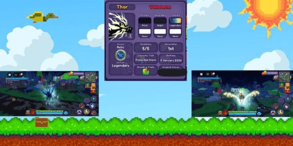 Product Showcase
