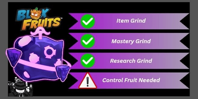 Product Showcase