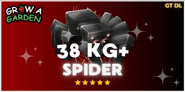 Gambar Product Spider 38KG+