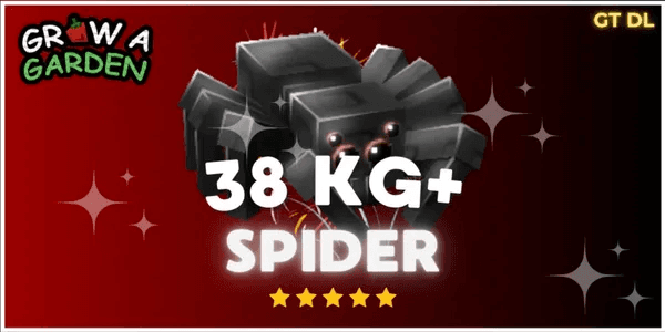 Spider 38KG+