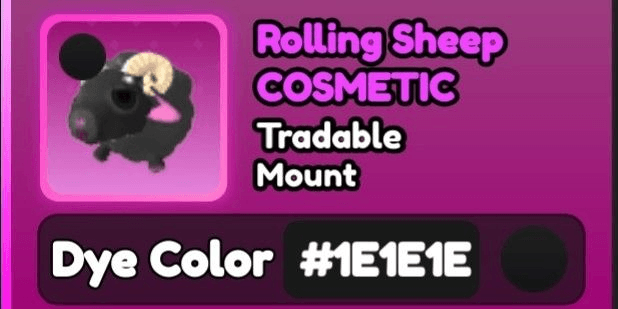 Product Showcase