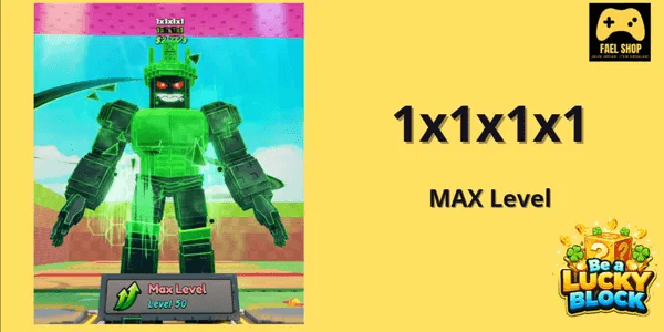 1x1x1x1 (1x1x1x1)