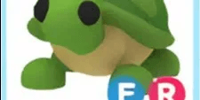 Turtle FR