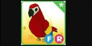 Gambar Product Parrot FR