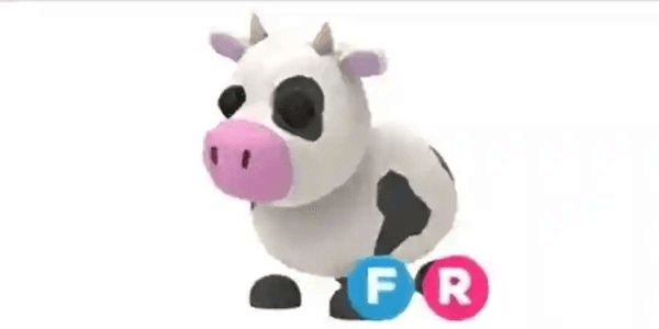 Gambar Product Cow FR