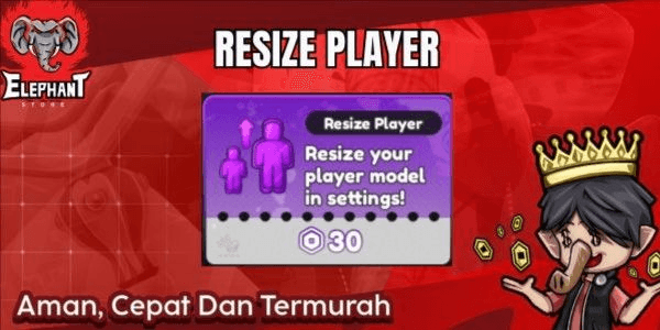 Gambar Product Resize Player