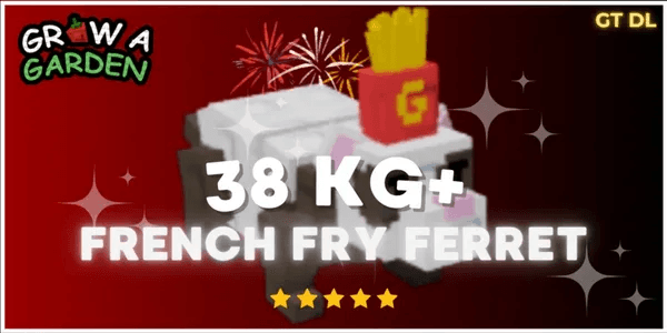 French Fry Ferret 38KG+