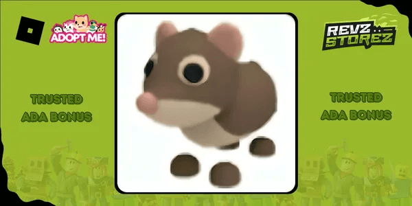 Shrew