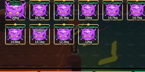 Product Showcase