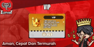 VIP