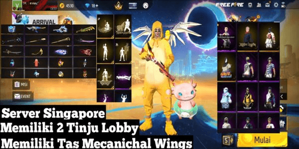 Gambar Product Akun Free Fire Newbie Level 20 Aman & Terpercaya 100%