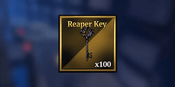 Gambar Product Reaper Key x100
