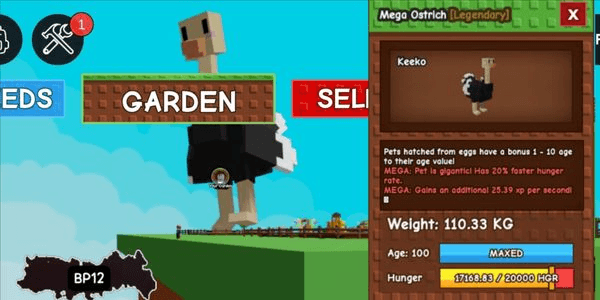 Gambar Product COLOSAL MEGA OSTRICH 110KG / MEGA COLOSAL OSTRICH 110KG / GODLY MEGA OSTRICH / MEGA GODLY OSTRICH