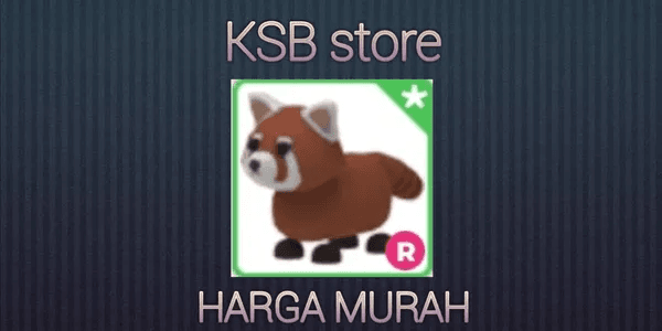 Red Panda