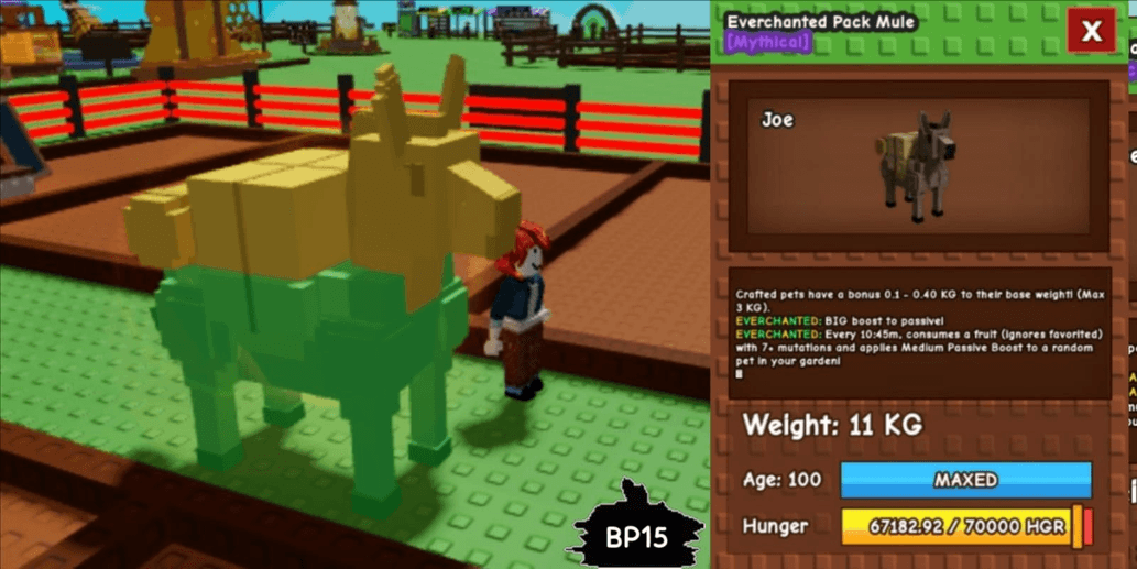 Product Showcase