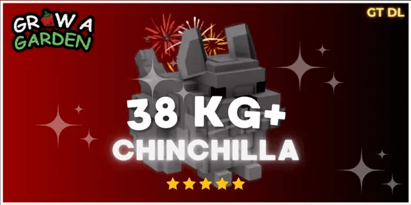 Chinchilla 38KG+