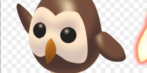 Gambar Product Owl FR