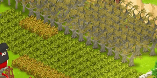 Poker / dry tree x10