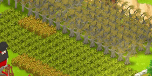 Poker / dry tree x10