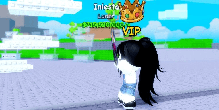Product Showcase