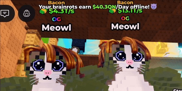 Gambar Product Meowl bacon