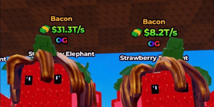 Product Showcase