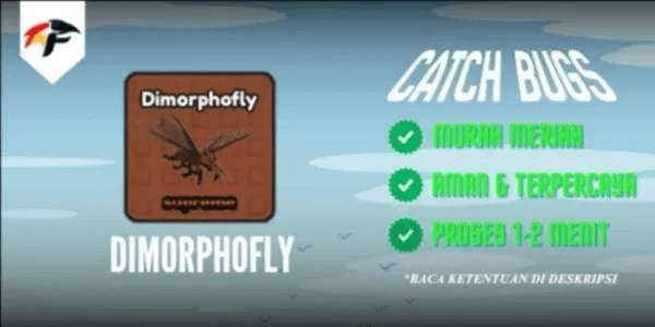 Dimorphofly - Catch Bugs!