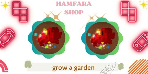 Product Showcase
