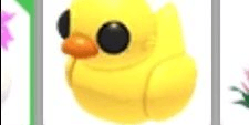 Gambar Product rubber ducky