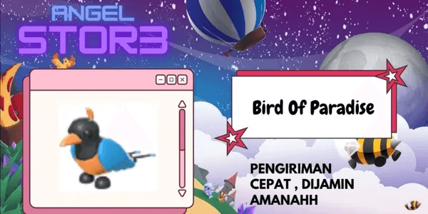 Bird of Paradise