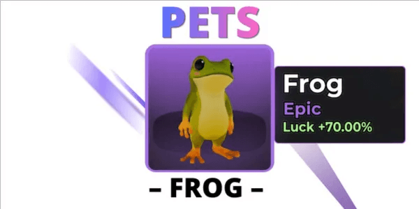 Frog - Pets