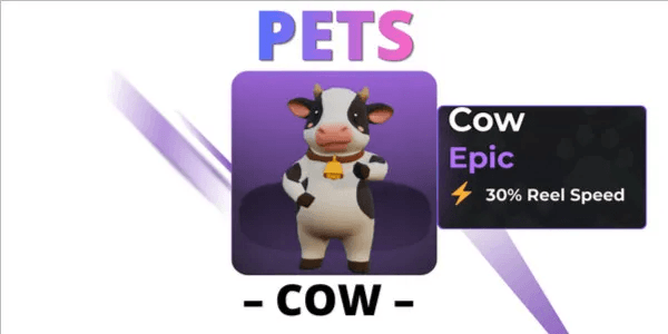 Cow - Pets