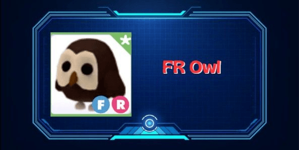Gambar Product Owl FR
